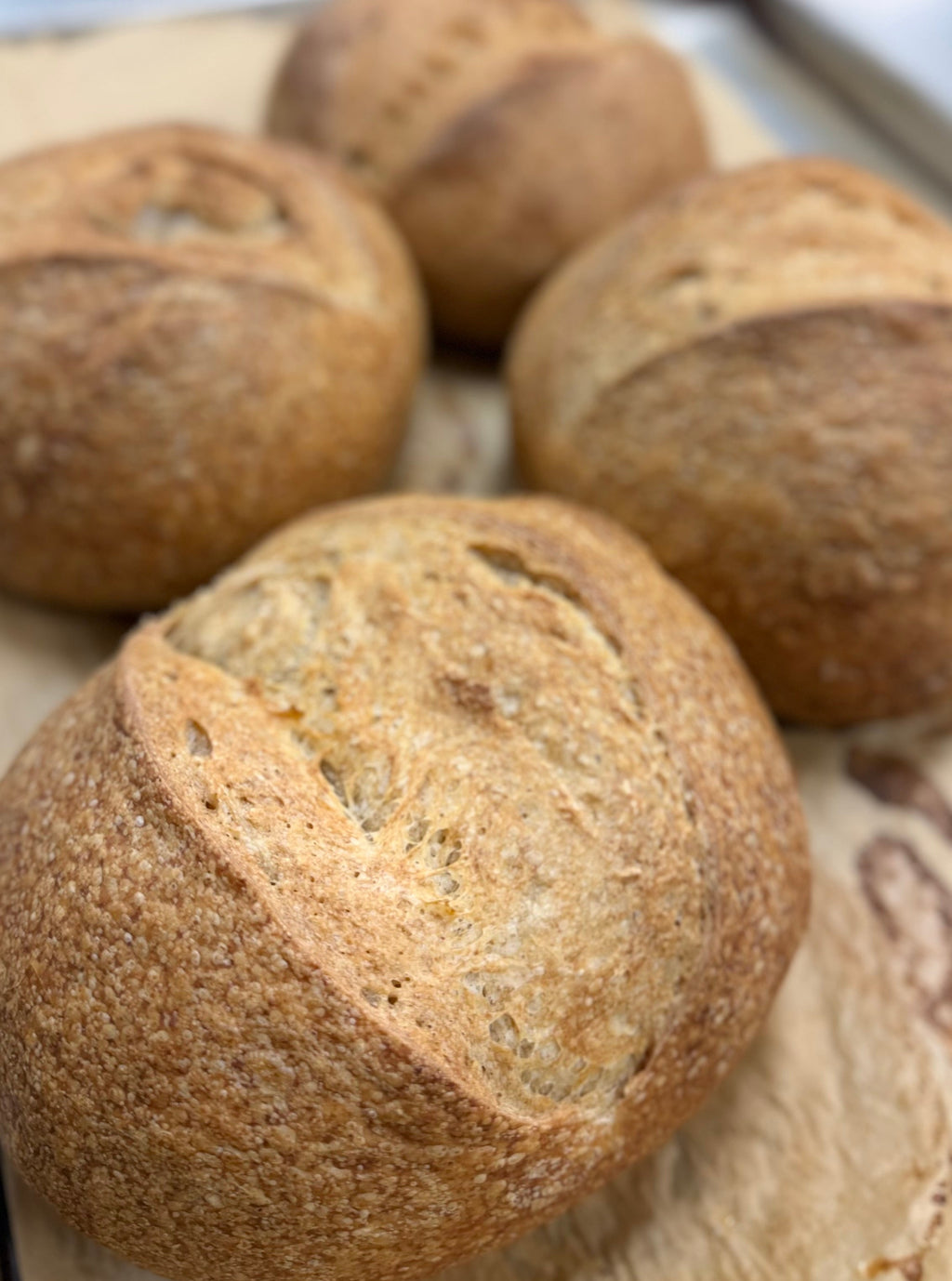 Sourdough Loaf