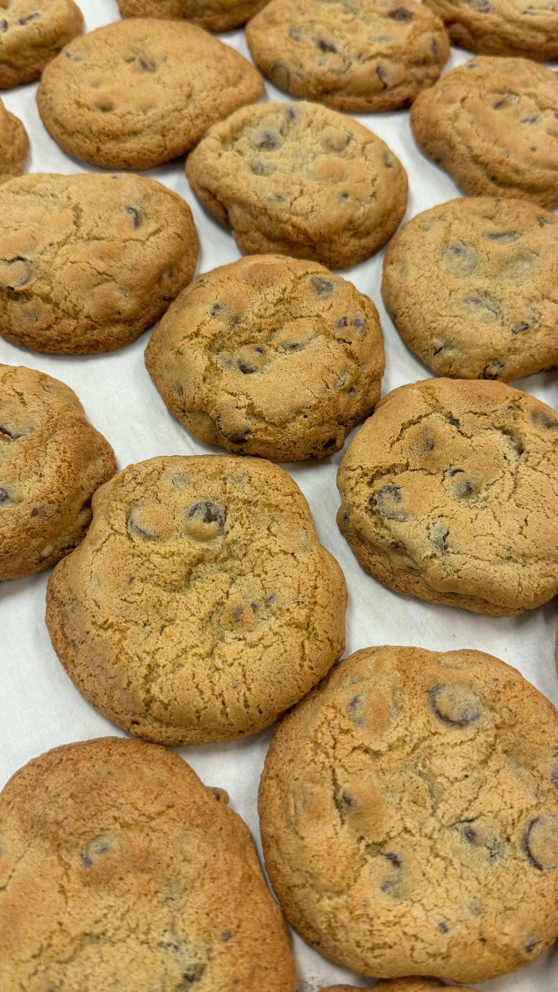 Chocolate Chip Cookies